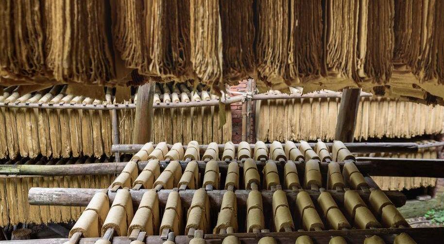 中國紙制品行業發展前景